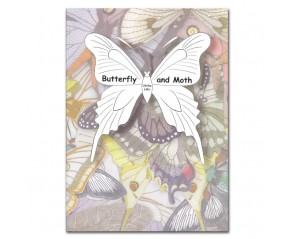 BUTTERFLY AND MOTH
