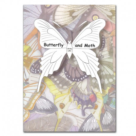 BUTTERFLY AND MOTH