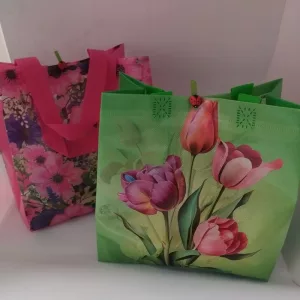 SAC SURPRISE PRINTEMPS 2026 Stock limité